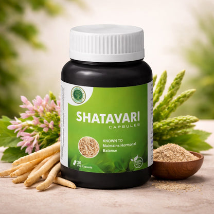 Shatavari Capsules – Ayurvedic Women’s Health Support