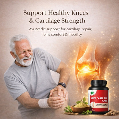 Knee Cartilage Care – Joint Support & Mobility Formula