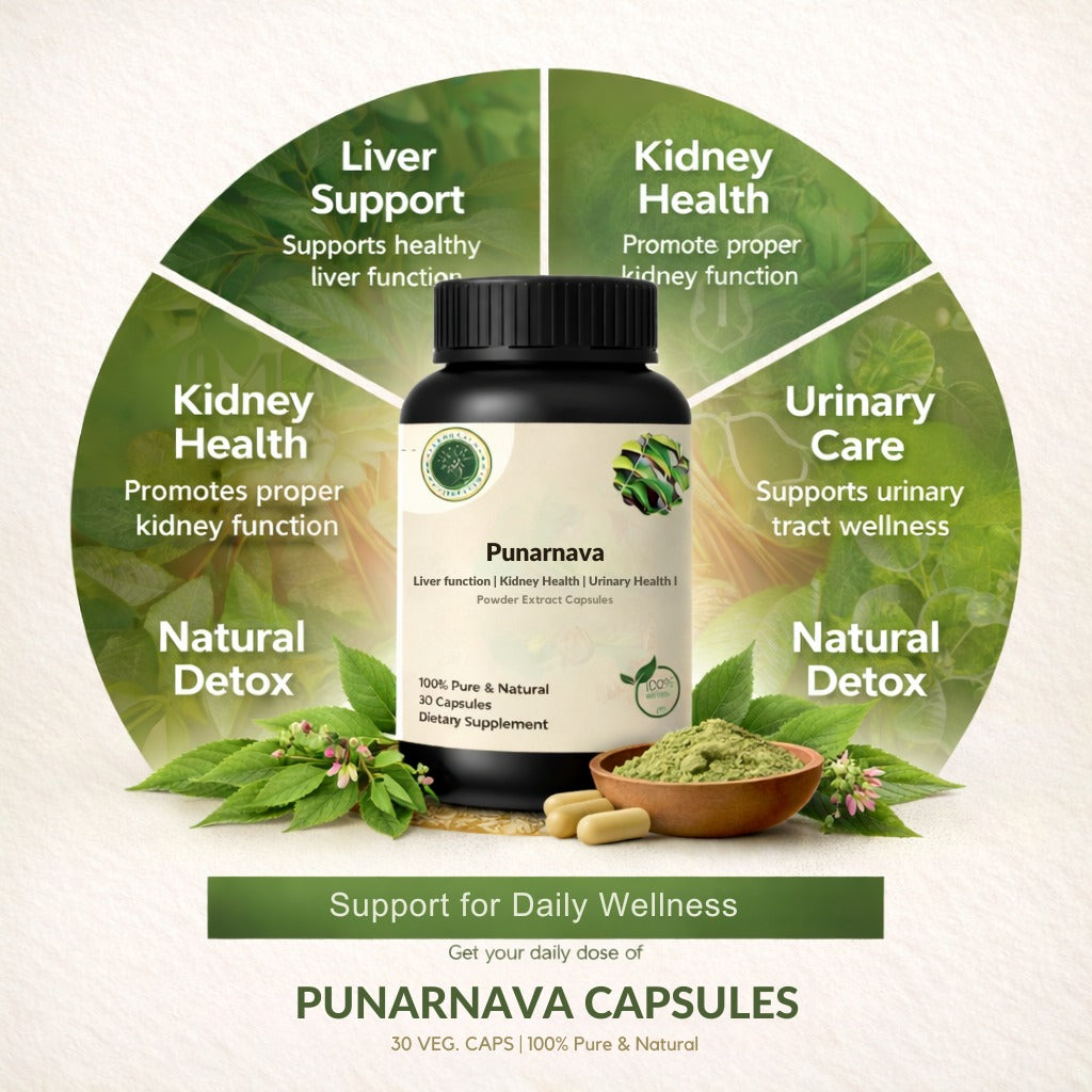 Punarnava Capsules – Natural Kidney & Detox Support
