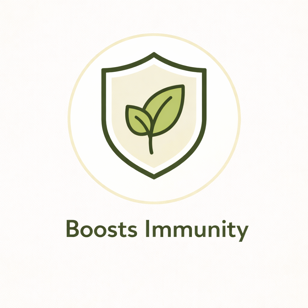 Moringa Capsules – Herbal Supplement for Daily Wellness
