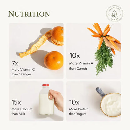 Triple Vitality Herbal Combo – Ashwagandha, Moringa & Sea Buckthorn Capsules