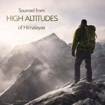 Shilajit Capsules – Natural Energy & Vitality Support